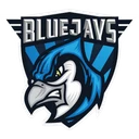 BLUEJAYS logo