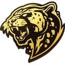 Bushido Wildcats logo