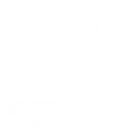 Phantom Esports logo