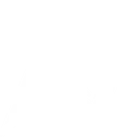 Logo von Team Nemesis