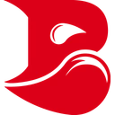 Logo de Bleed Esports