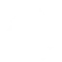 Team Spirit logo