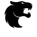 FURIA logo