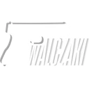 Walczaki logo