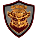 METANOIA WOLVES logo