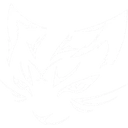 Team XDM logo