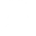Team Spirit Academy logo