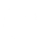 Logo de Team Pigeons