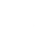 BRUTE logo